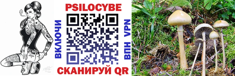 Купить где  Старый Крым  Псилоцибиновые грибы Psilocybine cubensis 