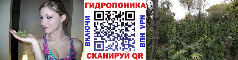 Купить закладки  Старый Крым  Конопля SATIVA & INDICA 